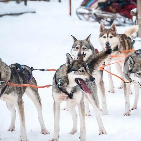 Loma-asunnot Castillo Luulampi E4 *