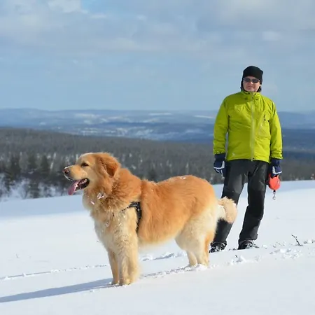 Castillo Luulampi E4