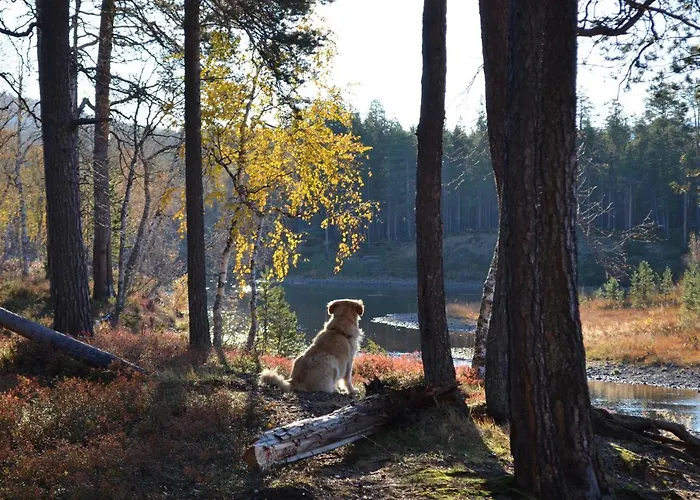 Castillo Luulampi E4 Prázdninový dům