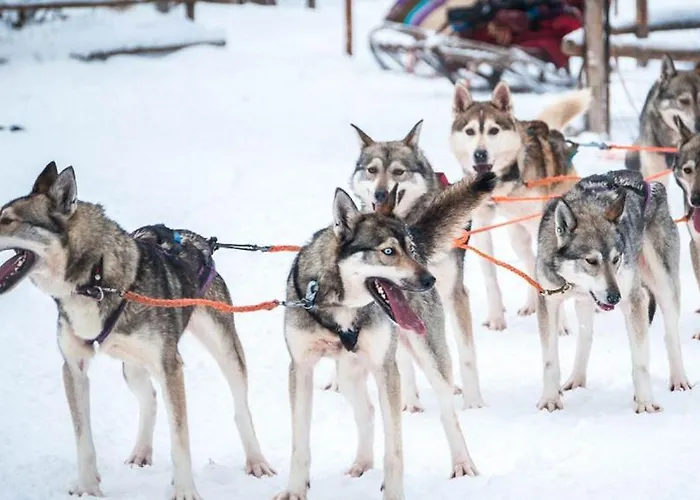 Prázdninový dům Castillo Luulampi E4 *