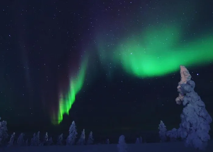 Prázdninový dům Castillo Luulampi E4 *