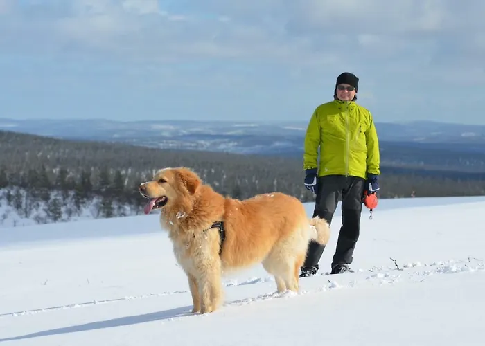 Castillo Luulampi E4